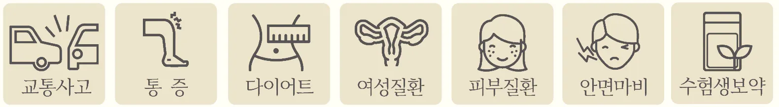 교통사고, 통증, 다이어트, 여성질환, 피부질환, 안면마비, 수험생보약